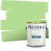 imagePRESTIGE Paints Exterior Paint and Primer In One 1Gallon Satin Comparable Match of Behr Soapstone MQ446PCM