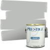 imagePRESTIGE Paints Exterior Paint and Primer In One 1Gallon SemiGloss Comparable Match of Benjamin Moore Sebring White1481BMPCM