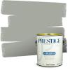 imagePRESTIGE Paints Exterior Paint and Primer In One 1Gallon SemiGloss Comparable Match of Benjamin Moore Sebring White1482BMPCM