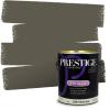 imagePRESTIGE Paints Exterior Paint and Primer In One 1Gallon SemiGloss Comparable Match of Benjamin Moore Sebring White1491BMPCM