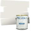 imagePRESTIGE Paints Exterior Paint and Primer In One 1Gallon SemiGloss Comparable Match of Benjamin Moore Sebring White1492BMPCM