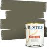 imagePRESTIGE Paints Exterior Paint and Primer In One 1Gallon SemiGloss Comparable Match of Benjamin Moore Sebring White1505BMPCM