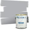 imagePRESTIGE Paints Interior Paint and Primer In One 1Gallon Flat Comparable Match of Benjamin Moore Chatsworth Cream1613BMPCM