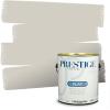 imagePRESTIGE Paints Interior Paint and Primer In One 1Gallon Flat Comparable Match of Benjamin Moore Chatsworth Cream859BMPCM