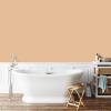 imagePRESTIGE Interior Paint and Primer in One Sachet SemiGloss 1 GallonChester