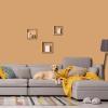 imagePRESTIGE Interior Paint and Primer in One Sachet SemiGloss 1 GallonChinese New Year