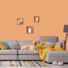 imagePRESTIGE Interior Paint and Primer in One Sachet SemiGloss 1 GallonIncense