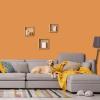imagePRESTIGE Interior Paint and Primer in One Sachet SemiGloss 1 GallonPeruvian Orange