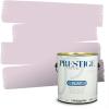 imagePRESTIGE Interior Paint and Primer in One Semma Eggshell 1 GallonHidden Treasure