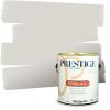imagePRESTIGE Interior Paint and Primer in One Silver Mist Satin 1 GallonAirplane