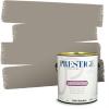 imagePRESTIGE Interior Paint and Primer in One Silver Mist Satin 1 GallonLion Statue