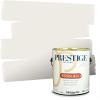 imagePRESTIGE Interior Paint and Primer in One Silver Mist Satin 1 GallonSnowstorm