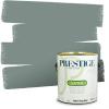 imagePRESTIGE Paints Exterior Paint and Primer In One 1Gallon Flat Comparable Match of Sherwin Williams Bohemian BlackSW6214PCM