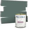 imagePRESTIGE Paints Exterior Paint and Primer In One 1Gallon Flat Comparable Match of Sherwin Williams Bohemian BlackSW6215PCM
