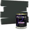 imagePRESTIGE Paints Exterior Paint and Primer In One 1Gallon Flat Comparable Match of Sherwin Williams Bohemian BlackSW6216PCM
