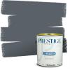 imagePRESTIGE Paints Exterior Paint and Primer In One 1Gallon Flat Comparable Match of Sherwin Williams Bohemian BlackSW6236PCM