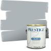 imagePRESTIGE Paints Exterior Paint and Primer In One 1Gallon Flat Comparable Match of Sherwin Williams Bohemian BlackSW6248PCM