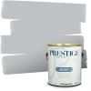 imagePRESTIGE Paints Exterior Paint and Primer In One 1Gallon Flat Comparable Match of Sherwin Williams Bohemian BlackSW6254PCM