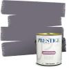 imagePRESTIGE Paints Exterior Paint and Primer In One 1Gallon Flat Comparable Match of Sherwin Williams Bohemian BlackSW6264PCM