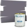 imagePRESTIGE Paints Exterior Paint and Primer In One 1Gallon Flat Comparable Match of Sherwin Williams Bohemian BlackSW6264PCM
