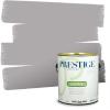 imagePRESTIGE Paints Exterior Paint and Primer In One 1Gallon Flat Comparable Match of Sherwin Williams Bohemian BlackSW6276PCM