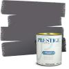 imagePRESTIGE Paints Exterior Paint and Primer In One 1Gallon Flat Comparable Match of Sherwin Williams Bohemian BlackSW6278PCM