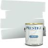imagePRESTIGE Paints Exterior Paint and Primer In One 1Gallon Satin Comparable Match of Sherwin Williams AleutianSW6217PCM