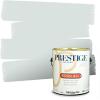 imagePRESTIGE Paints Exterior Paint and Primer In One 1Gallon Satin Comparable Match of Sherwin Williams AleutianSW6217PCM
