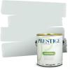 imagePRESTIGE Paints Exterior Paint and Primer In One 1Gallon Satin Comparable Match of Sherwin Williams AleutianSW6217PCM
