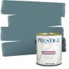 imagePRESTIGE Paints Exterior Paint and Primer In One 1Gallon Satin Comparable Match of Sherwin Williams AleutianSW6228PCM