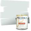imagePRESTIGE Paints Exterior Paint and Primer In One 1Gallon Satin Comparable Match of Sherwin Williams AleutianSW6490PCM