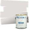 imagePRESTIGE Paints Interior Paint and Primer In One 1Gallon Flat Comparable Match of Sherwin Williams Cloud NineSW6266PCM