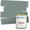 imagePRESTIGE Paints Interior Paint and Primer In One 1Gallon Flat Comparable Match of Sherwin Williams Ice CubeSW6214PCM
