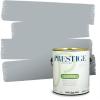 imagePRESTIGE Paints Interior Paint and Primer In One 1Gallon Flat Comparable Match of Sherwin Williams Ice CubeSW6248PCM