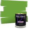 imagePRESTIGE Paints Interior Paint and Primer In One 1Gallon Satin Comparable Match of Sherwin Williams AqueductSW6923PCM