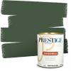 imagePRESTIGE Paints Interior Paint and Primer In One 1Gallon Satin Comparable Match of Sherwin Williams Kale GreenCourtyard