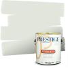 imagePRESTIGE Paints Interior Paint and Primer In One 1Gallon Satin Comparable Match of Sherwin Williams Kale GreenSW6441PCM