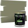 imagePRESTIGE Paints Interior Paint and Primer In One 1Gallon Satin Comparable Match of Sherwin Williams Secret GardenSW6179PCM