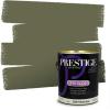 imagePRESTIGE Paints Interior Paint and Primer In One 1Gallon Satin Comparable Match of Sherwin Williams Secret GardenSW6180PCM