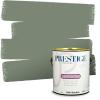 imagePRESTIGE Paints Interior Paint and Primer In One 1Gallon Satin Comparable Match of Sherwin Williams Secret GardenSW6193PCM
