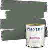 imagePRESTIGE Paints Interior Paint and Primer In One 1Gallon Satin Comparable Match of Sherwin Williams Secret GardenSW6194PCM