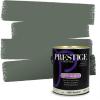 imagePRESTIGE Paints Interior Paint and Primer In One 1Gallon Satin Comparable Match of Sherwin Williams Secret GardenSW6194PCM