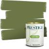 imagePRESTIGE Paints Interior Paint and Primer In One 1Gallon Satin Comparable Match of Sherwin Williams Secret GardenSW6432PCM