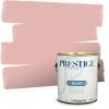 imagePRESTIGE Paints Interior Paint and Primer In One 1Gallon SemiGloss Comparable Match of Sherwin Williams Fabulous GrapeSW6317PCM
