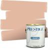 imagePRESTIGE Paints Interior Paint and Primer In One 1Gallon SemiGloss Comparable Match of Sherwin Williams PersimmonSW6338PCM