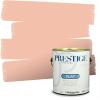 imagePRESTIGE Paints Interior Paint and Primer In One 1Gallon SemiGloss Comparable Match of Sherwin Williams PersimmonSW6618PCM