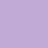 Purple Gladiola