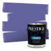 VS53-Purple Frenzy