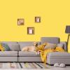 imagePRESTIGE Exterior Paint and Primer in One Always Flat 1 GallonBanana Bunch