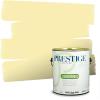 imagePRESTIGE Exterior Paint and Primer in One Always Flat 1 GallonFun Loving